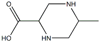 2-METHYL-5-PIPERAZINECARBOXYLIC ACID,,结构式