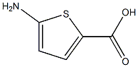 5-AMINOTHIOPHENE-2-CARBOXYLIC ACID