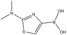 2-DIMETHYLAMINOTHIAZOLE-4-BORONIC ACID Struktur