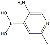  2-METHYL-5-AMINOPYRIDINE-4-BORONIC ACID