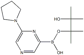 6-(PYRROLIDIN-1-YL)PYRAZINE-2-BORONIC ACID PINACOL ESTER 结构式