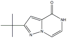 2-TERT-BUTYLPYRAZOLO[1,5-A]PYRAZIN-4(5H)-ONE 结构式