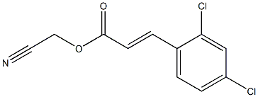 cyanomethyl (E)-3-(2,4-dichlorophenyl)-2-propenoate