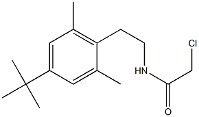 N-[2-(4-tert-butyl-2,6-dimethylphenyl)ethyl]-2-chloroacetamide