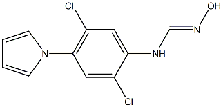 N-[2,5-dichloro-4-(1H-pyrrol-1-yl)phenyl]-N'-hydroxyiminoformamide Structure