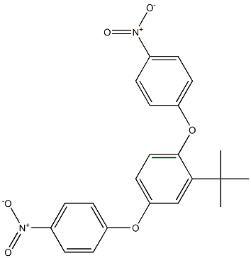 2-(tert-butyl)-1,4-di(4-nitrophenoxy)benzene 结构式