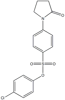 4-chlorophenyl 4-(2-oxotetrahydro-1H-pyrrol-1-yl)benzene-1-sulfonate|
