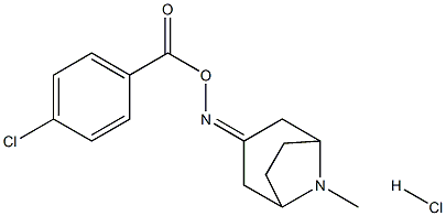 3-{[(4-chlorobenzoyl)oxy]imino}-8-methyl-8-azabicyclo[3.2.1]octane hydrochloride Structure