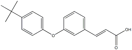 (E)-3-(3-(4-tert-butylphenoxy)phenyl)acrylic acid,,结构式