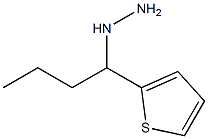 1-(1-(thiophen-2-yl)butyl)hydrazine,,结构式