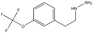 1-(3-(trifluoromethoxy)phenethyl)hydrazine