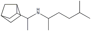 (1-{bicyclo[2.2.1]heptan-2-yl}ethyl)(5-methylhexan-2-yl)amine