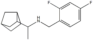 (1-{bicyclo[2.2.1]heptan-2-yl}ethyl)[(2,4-difluorophenyl)methyl]amine