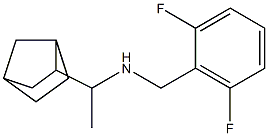 (1-{bicyclo[2.2.1]heptan-2-yl}ethyl)[(2,6-difluorophenyl)methyl]amine 结构式