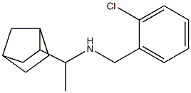 (1-{bicyclo[2.2.1]heptan-2-yl}ethyl)[(2-chlorophenyl)methyl]amine|