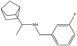 (1-{bicyclo[2.2.1]heptan-2-yl}ethyl)[(3-fluorophenyl)methyl]amine