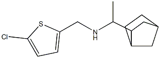  (1-{bicyclo[2.2.1]heptan-2-yl}ethyl)[(5-chlorothiophen-2-yl)methyl]amine