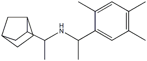 (1-{bicyclo[2.2.1]heptan-2-yl}ethyl)[1-(2,4,5-trimethylphenyl)ethyl]amine Structure