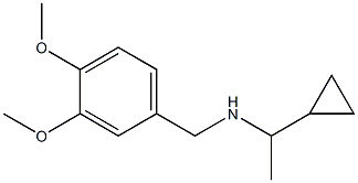 (1-cyclopropylethyl)[(3,4-dimethoxyphenyl)methyl]amine 结构式