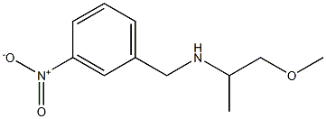 (1-methoxypropan-2-yl)[(3-nitrophenyl)methyl]amine 化学構造式