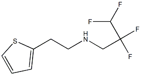 (2,2,3,3-tetrafluoropropyl)[2-(thiophen-2-yl)ethyl]amine Structure