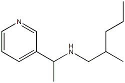 (2-methylpentyl)[1-(pyridin-3-yl)ethyl]amine