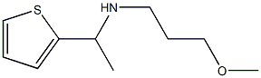 (3-methoxypropyl)[1-(thiophen-2-yl)ethyl]amine 结构式