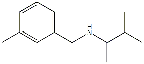 (3-methylbutan-2-yl)[(3-methylphenyl)methyl]amine Struktur