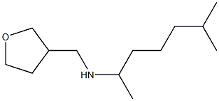 (6-methylheptan-2-yl)(oxolan-3-ylmethyl)amine 化学構造式