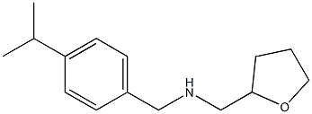 (oxolan-2-ylmethyl)({[4-(propan-2-yl)phenyl]methyl})amine Structure