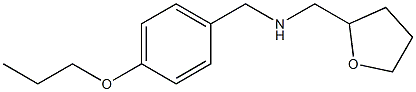 (oxolan-2-ylmethyl)[(4-propoxyphenyl)methyl]amine 化学構造式