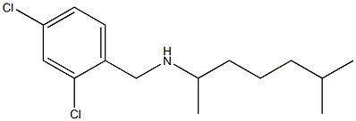 [(2,4-dichlorophenyl)methyl](6-methylheptan-2-yl)amine Structure