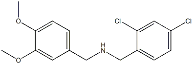 [(2,4-dichlorophenyl)methyl][(3,4-dimethoxyphenyl)methyl]amine Structure