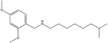 [(2,4-dimethoxyphenyl)methyl](7-methyloctyl)amine