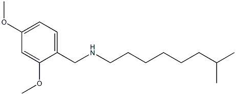 [(2,4-dimethoxyphenyl)methyl](7-methyloctyl)amine Structure