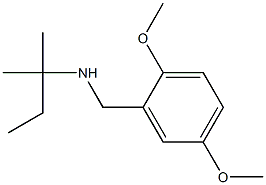 [(2,5-dimethoxyphenyl)methyl](2-methylbutan-2-yl)amine,,结构式