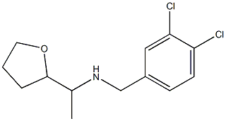 [(3,4-dichlorophenyl)methyl][1-(oxolan-2-yl)ethyl]amine|