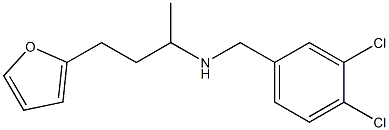 [(3,4-dichlorophenyl)methyl][4-(furan-2-yl)butan-2-yl]amine Structure