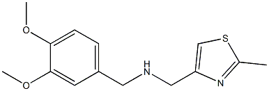 [(3,4-dimethoxyphenyl)methyl][(2-methyl-1,3-thiazol-4-yl)methyl]amine 结构式