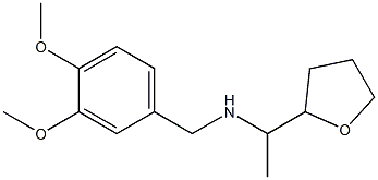 [(3,4-dimethoxyphenyl)methyl][1-(oxolan-2-yl)ethyl]amine|