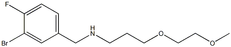 [(3-bromo-4-fluorophenyl)methyl][3-(2-methoxyethoxy)propyl]amine 化学構造式