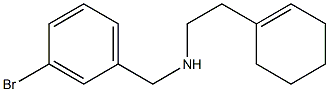  [(3-bromophenyl)methyl][2-(cyclohex-1-en-1-yl)ethyl]amine