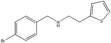 [(4-bromophenyl)methyl][2-(thiophen-2-yl)ethyl]amine