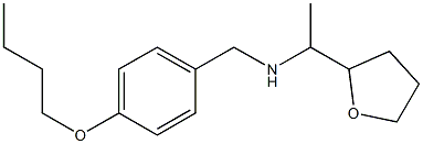 [(4-butoxyphenyl)methyl][1-(oxolan-2-yl)ethyl]amine 化学構造式