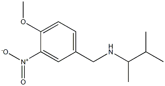 [(4-methoxy-3-nitrophenyl)methyl](3-methylbutan-2-yl)amine 结构式