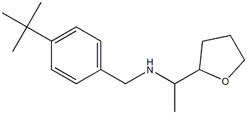 [(4-tert-butylphenyl)methyl][1-(oxolan-2-yl)ethyl]amine