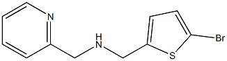 [(5-bromothiophen-2-yl)methyl](pyridin-2-ylmethyl)amine 结构式