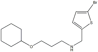 [(5-bromothiophen-2-yl)methyl][3-(cyclohexyloxy)propyl]amine