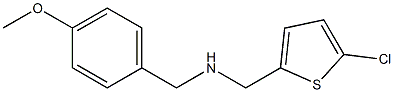 [(5-chlorothiophen-2-yl)methyl][(4-methoxyphenyl)methyl]amine