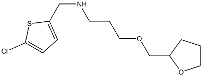 [(5-chlorothiophen-2-yl)methyl][3-(oxolan-2-ylmethoxy)propyl]amine|